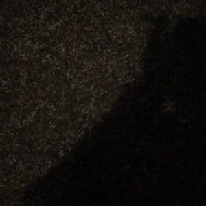 Meet your Posher, Mandy